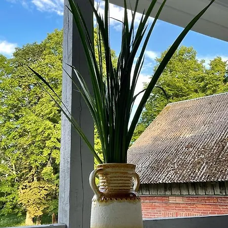 Strautmali White House In Holiday home *